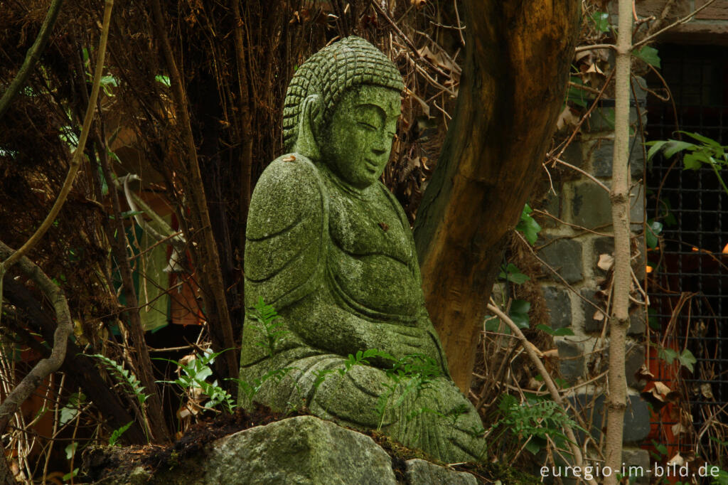 Detailansicht von Buddha im Hortus Dialogus