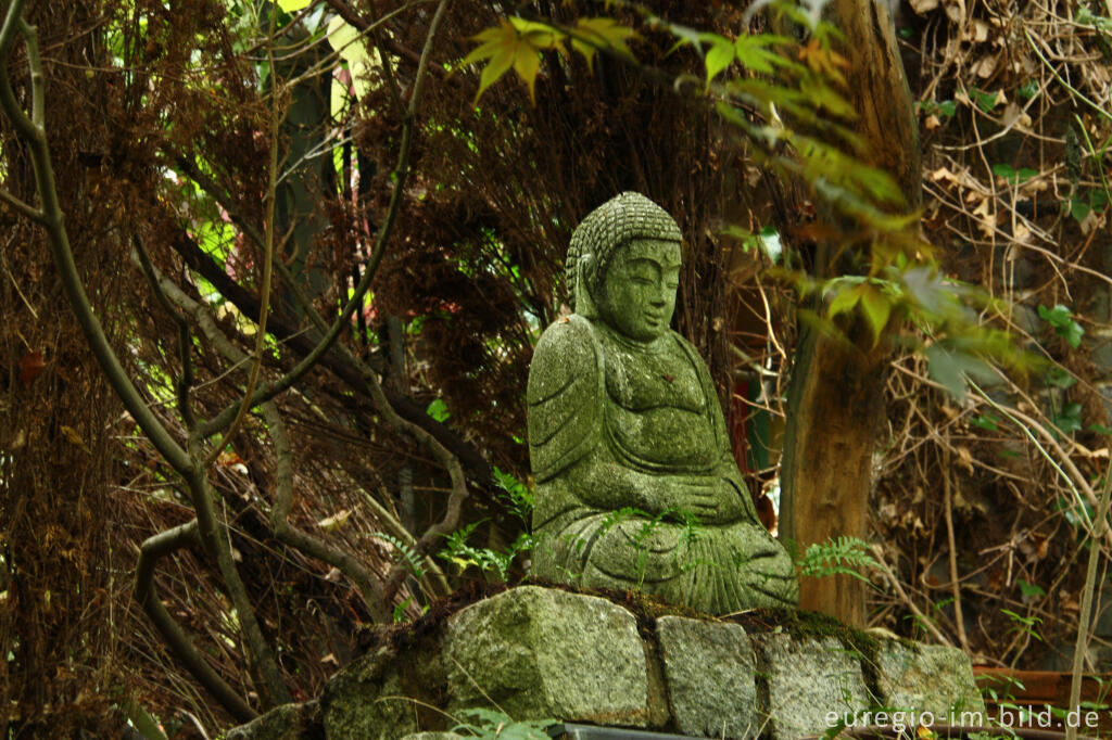 Detailansicht von Buddha im Hortus Dialogus