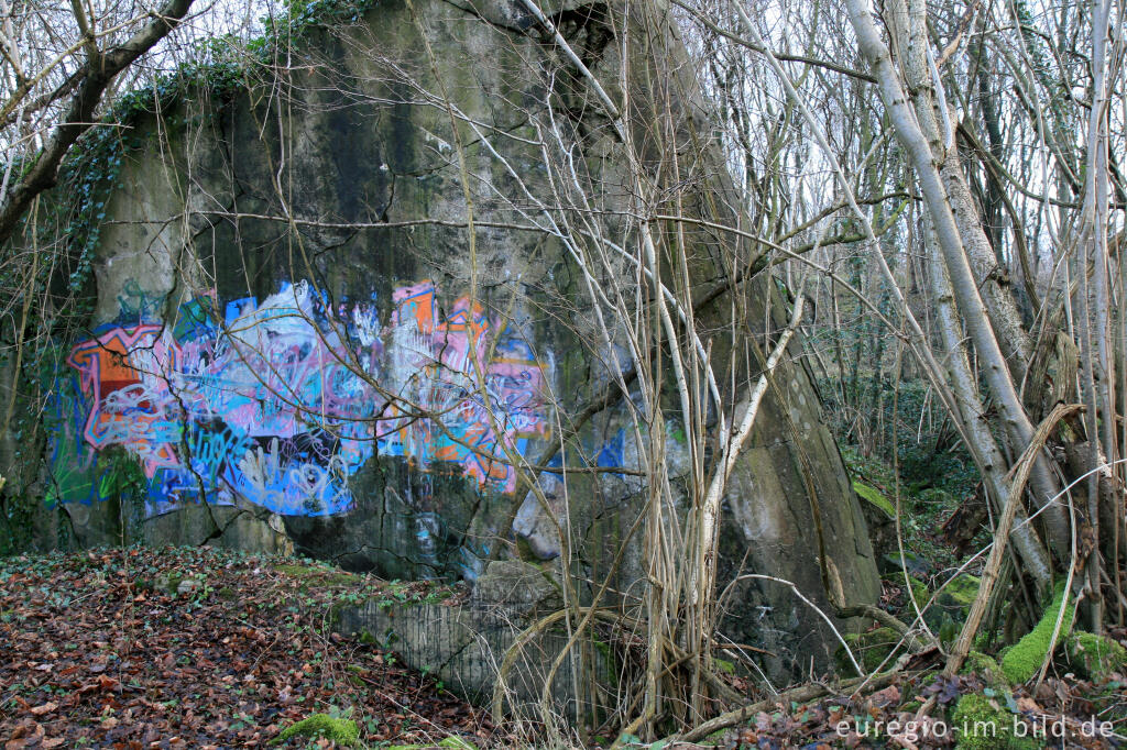 Detailansicht von Bunker beim Steinbruch Aachen-Schmithof