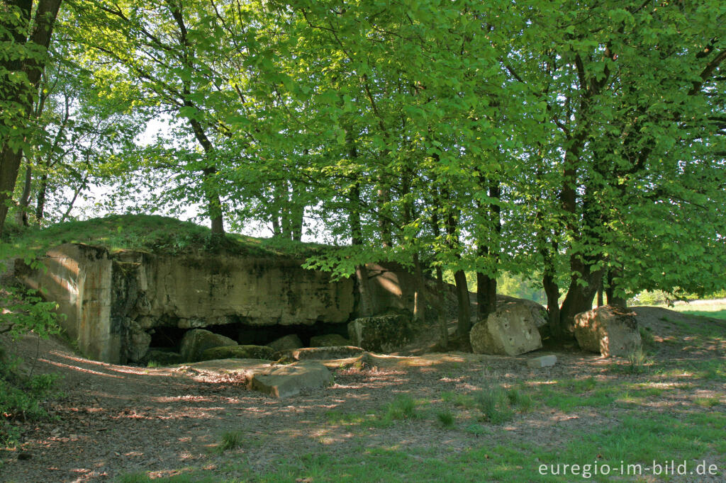 Detailansicht von Bunkerruine aus dem 2. Weltkrieg bei Stolberg-Münsterbusch