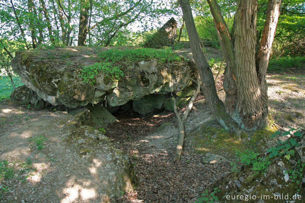 Detailansicht von Bunkerruine aus dem 2. Weltkrieg bei Stolberg-Münsterbusch