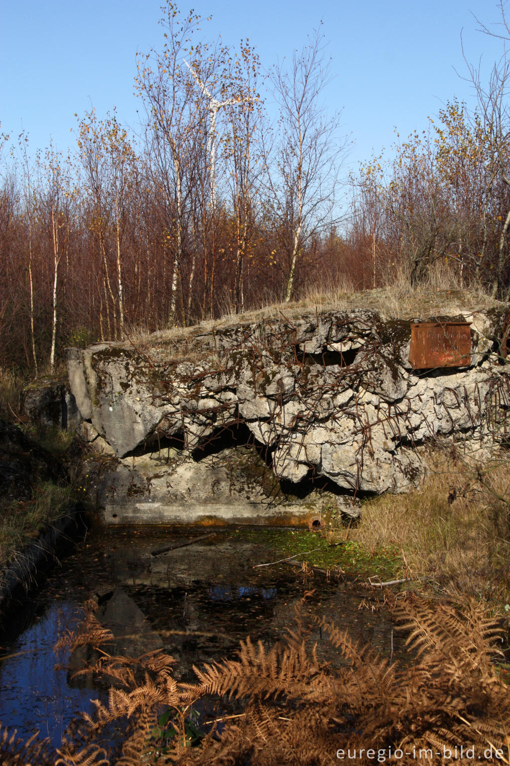 Detailansicht von Bunkerruine im Todtenbruch bei Hürtgenwald