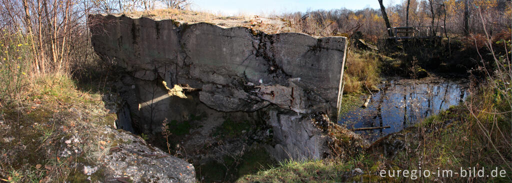 Detailansicht von Bunkerruine im Todtenbruch bei Hürtgenwald