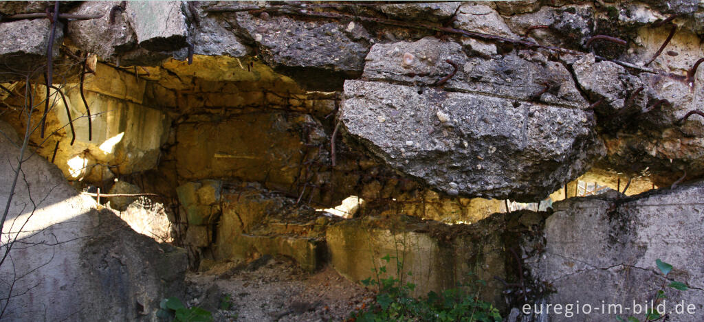 Detailansicht von Bunkerruine im Todtenbruch, Hürtgenwald