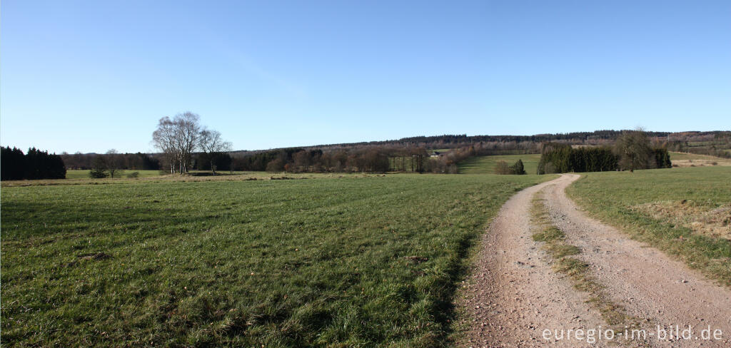 Detailansicht von Bunkerruine zwischen Simmerath und Konzen