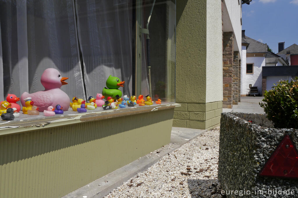 Detailansicht von Bunte Entensammlung, Burg Reuland in Ostbelgien