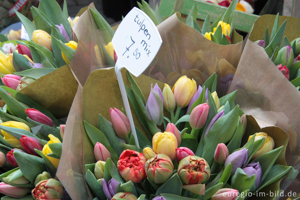 Detailansicht von Bunte Tulpen, Blumenmarkt in Amsterdam