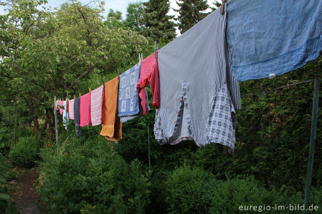 Detailansicht von Bunte Wäsche trocknet im Garten