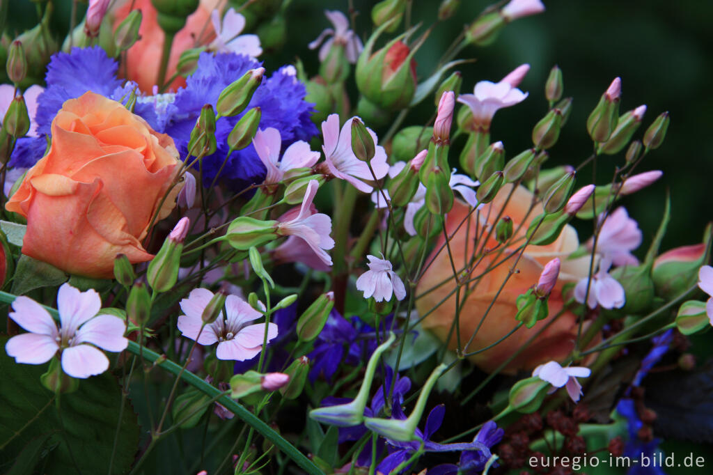 Detailansicht von Bunter Blumenstrauß für den Monat Juni