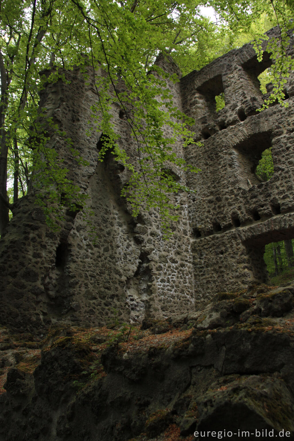 Detailansicht von Burgruine Freudenkoppe auf dem Nerother Kopf, Vulkaneifel