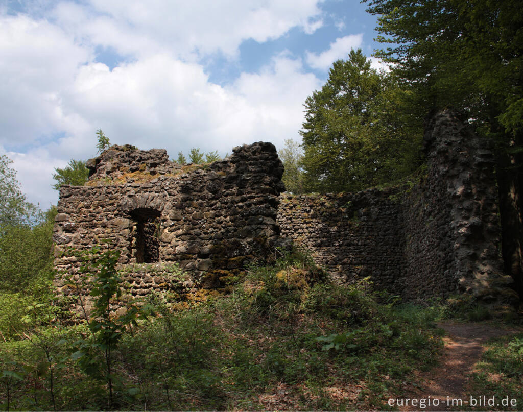 Detailansicht von Burgruine Freudenkoppe auf dem Nerother Kopf, Vulkaneifel