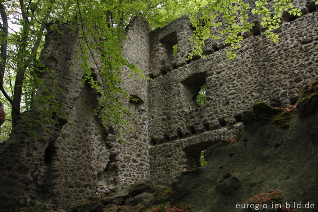 Burgruine Freudenkoppe auf dem Nerother Kopf, Vulkaneifel