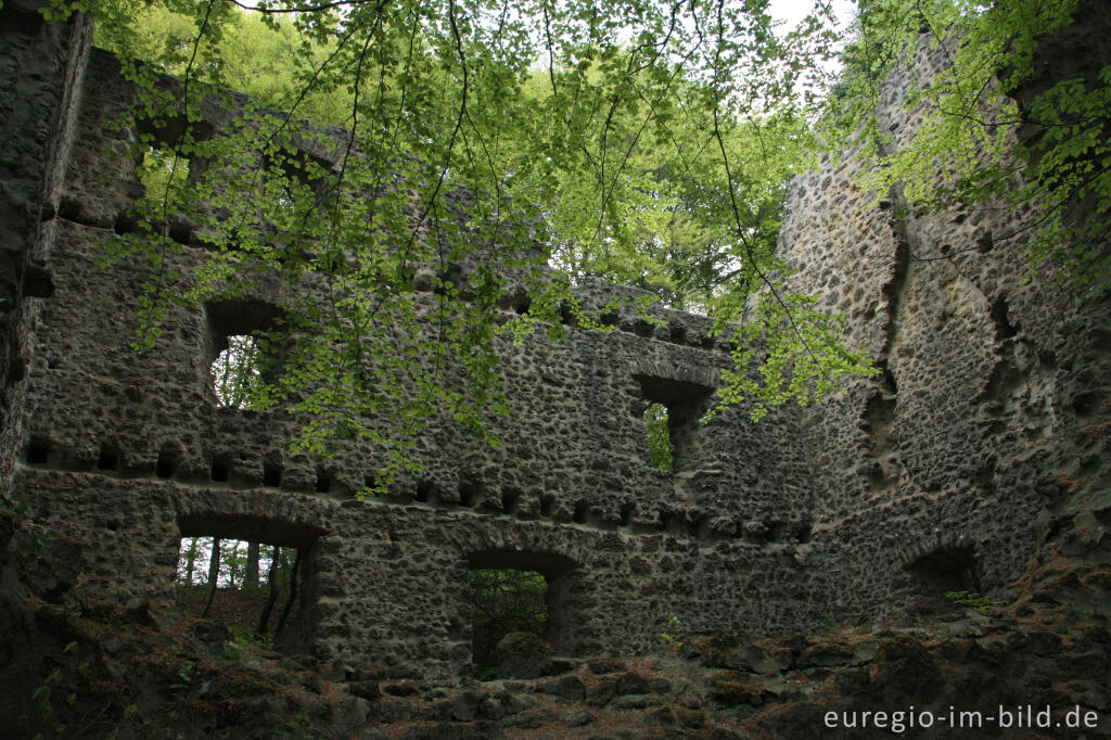 Detailansicht von Burgruine Freudenkoppe auf dem Nerother Kopf, Vulkaneifel