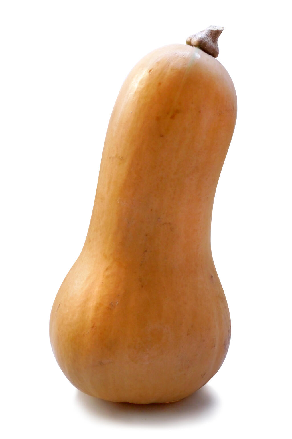 Detailansicht von Butternut-Kürbis