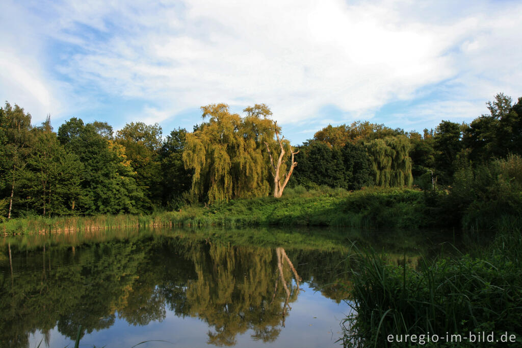 Detailansicht von Cranenweyer im Park Gravenrode