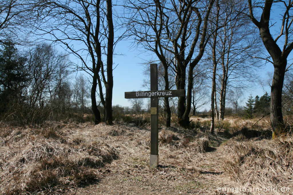 Detailansicht von Das Bilfigerkreuz im Steinley - Venn