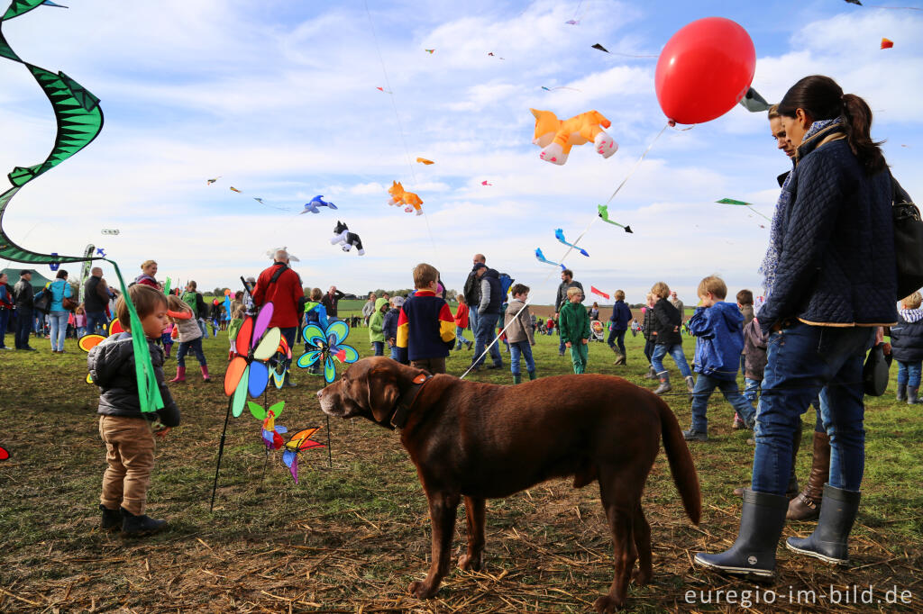 Detailansicht von Das Drachenfest bei Aachen