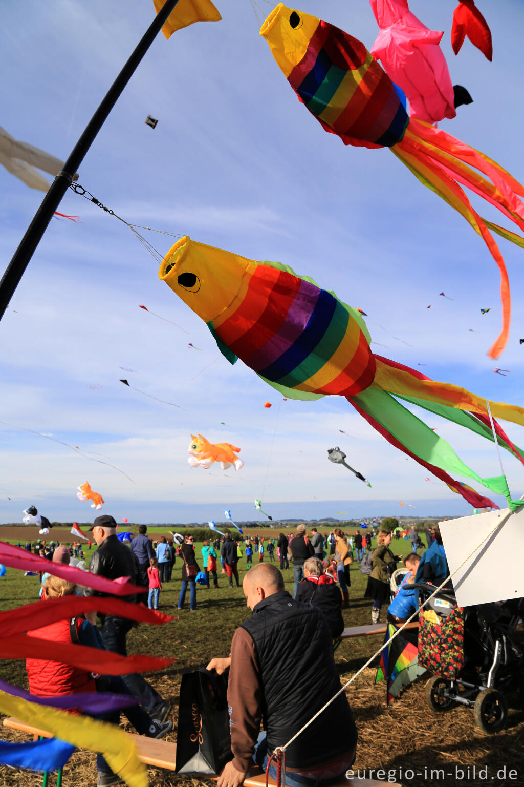 Detailansicht von Das Drachenfest bei Aachen