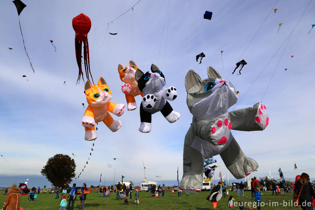 Detailansicht von Das Drachenfest bei Aachen