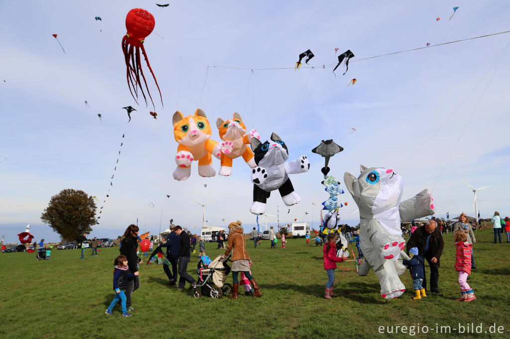 Detailansicht von Das Drachenfest bei Aachen