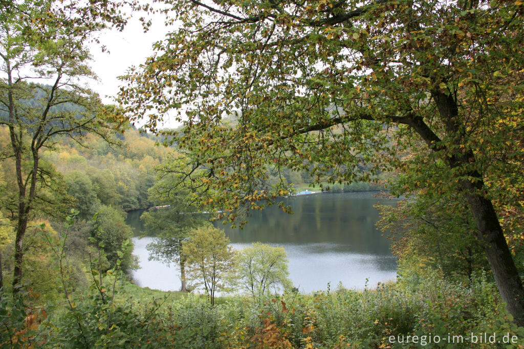 Detailansicht von Das Gemündener Maar bei Daun in der Vulkaneifel