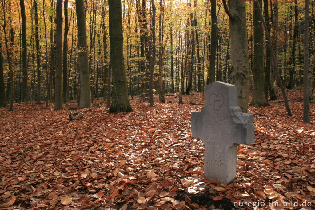 Detailansicht von Das Kever-Kreuz bei den Zyklopensteinen im Aachener Wald                                 