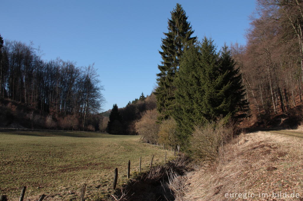 Detailansicht von Das leere Bachbett des Mirbachs