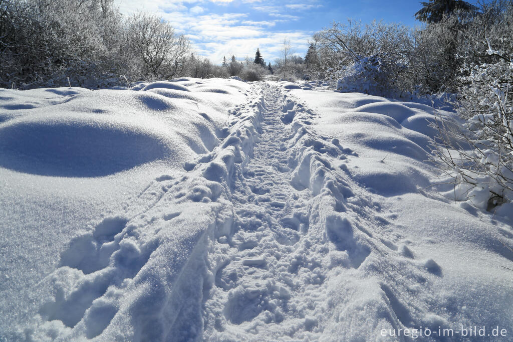 Das nördliche Brackvenn im Winter