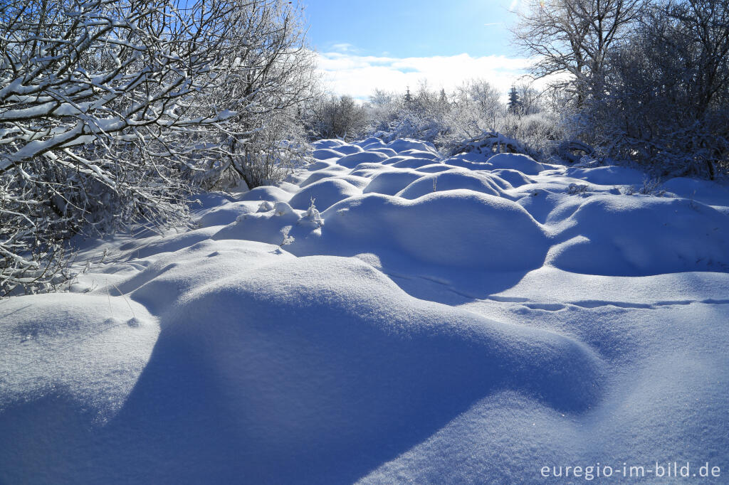 Das nördliche Brackvenn im Winter