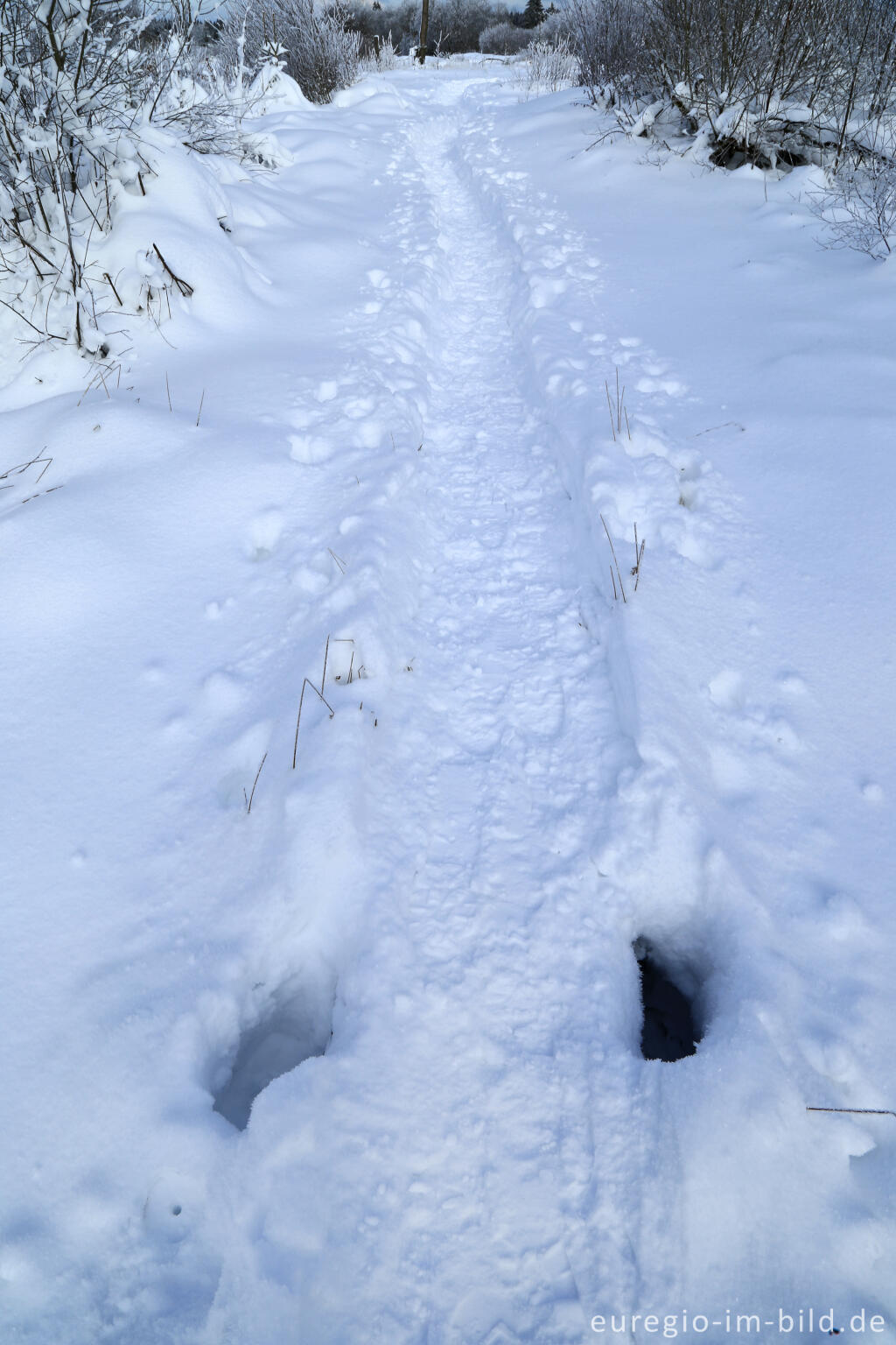 Das nördliche Brackvenn im Winter