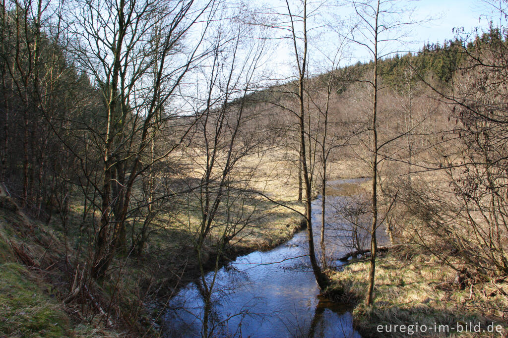 Das Perlenbachtal im zeitigen Frühjahr, Eifel