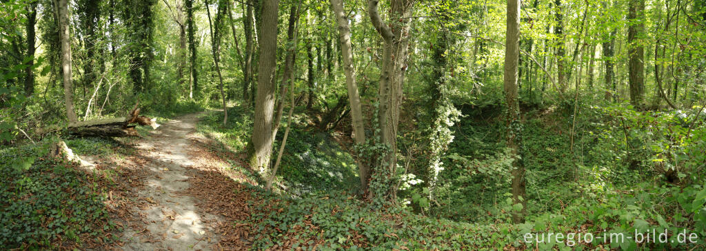 Detailansicht von Das Plateau von Caestert, südwestlich von Maastricht