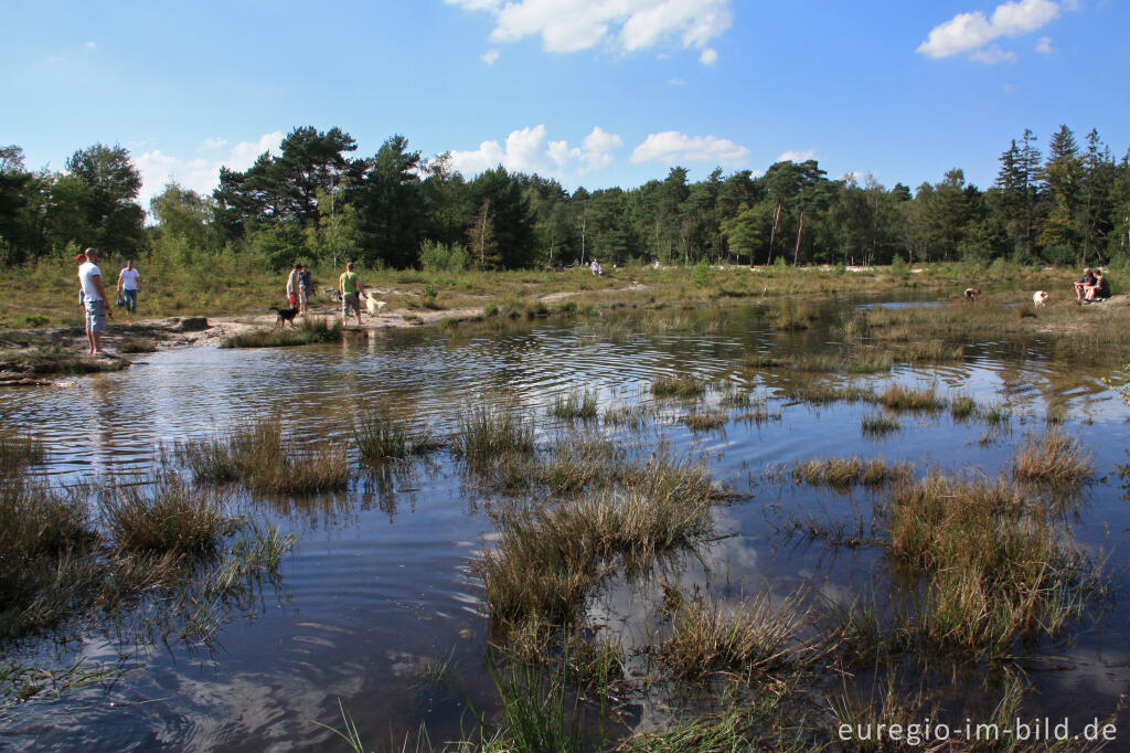 Das Quellgebiet des Rode Beek in der Brunssummerheide