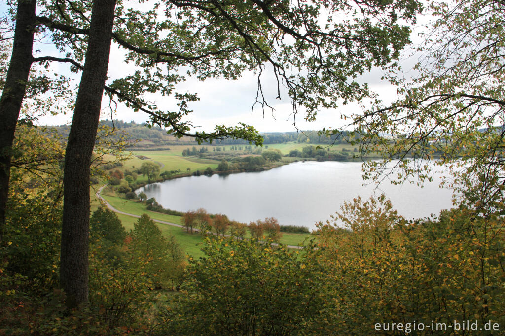 Detailansicht von Das Schalkenmehrener Maar, Vulkaneifel bei Daun