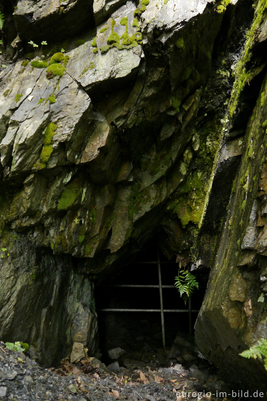 Detailansicht von Das "Schwarze Loch" im Ourtal zwischen Dasburg und Tintesmühle