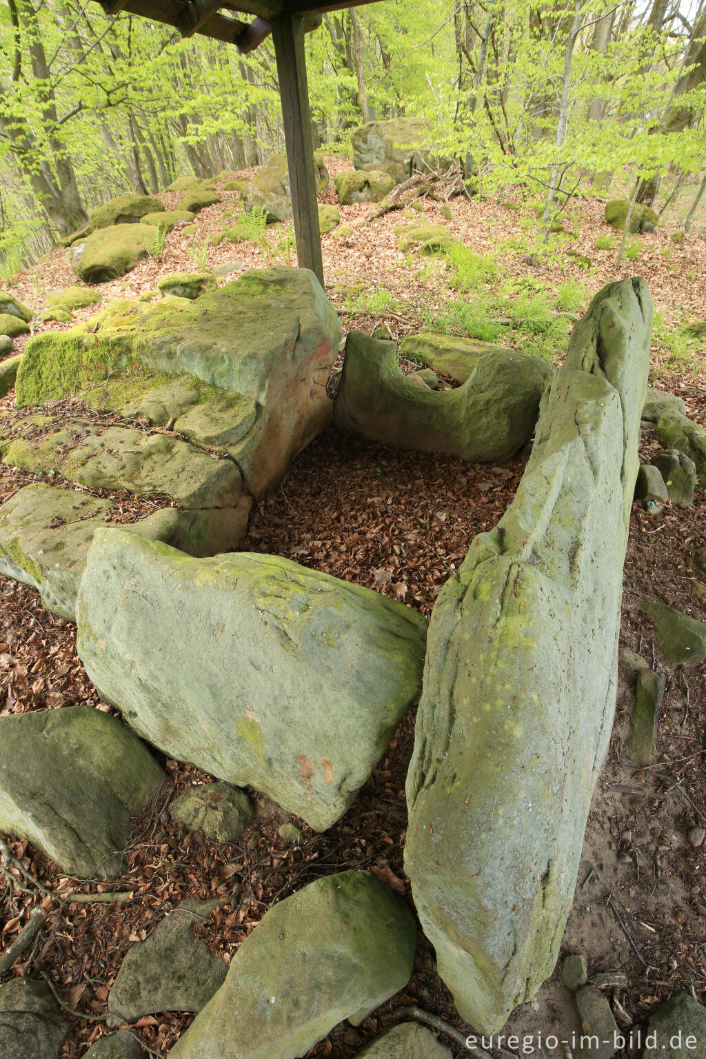 Detailansicht von Das Steinkistengrab auf dem Hartberg bei Schankweiler