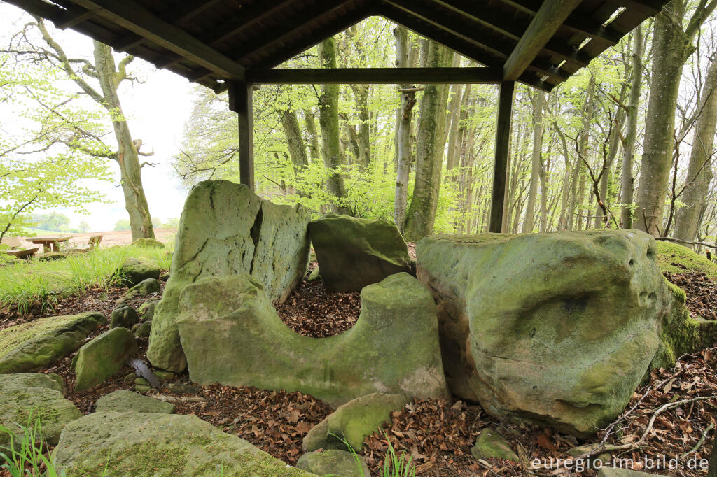 Detailansicht von Das Steinkistengrab bei Schankweiler