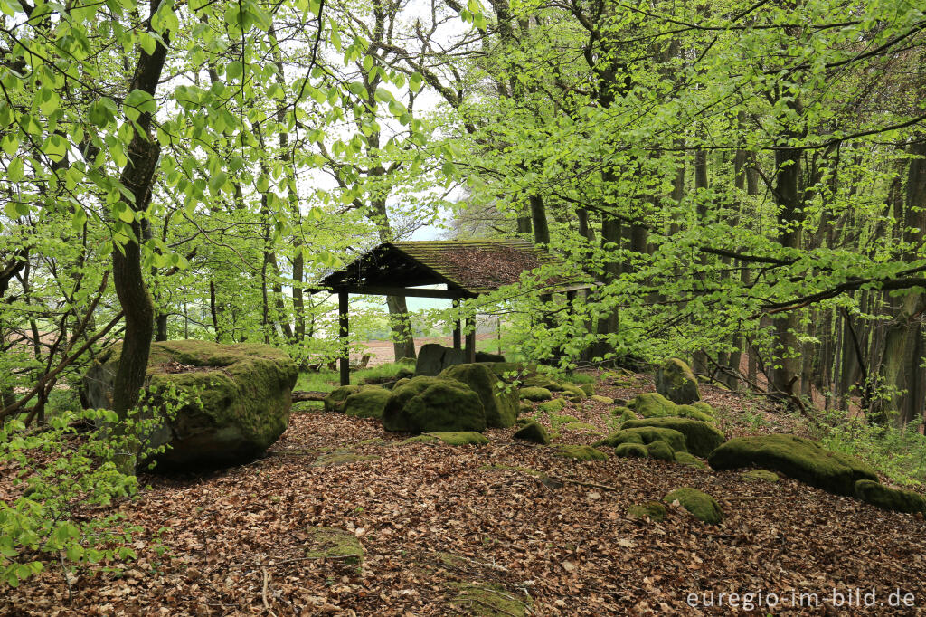 Detailansicht von Das Steinkistengrab bei Schankweiler