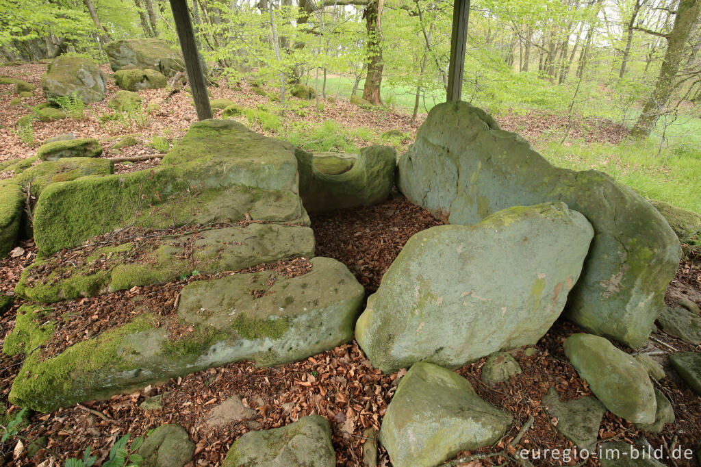 Detailansicht von Das Steinkistengrab bei Schankweiler