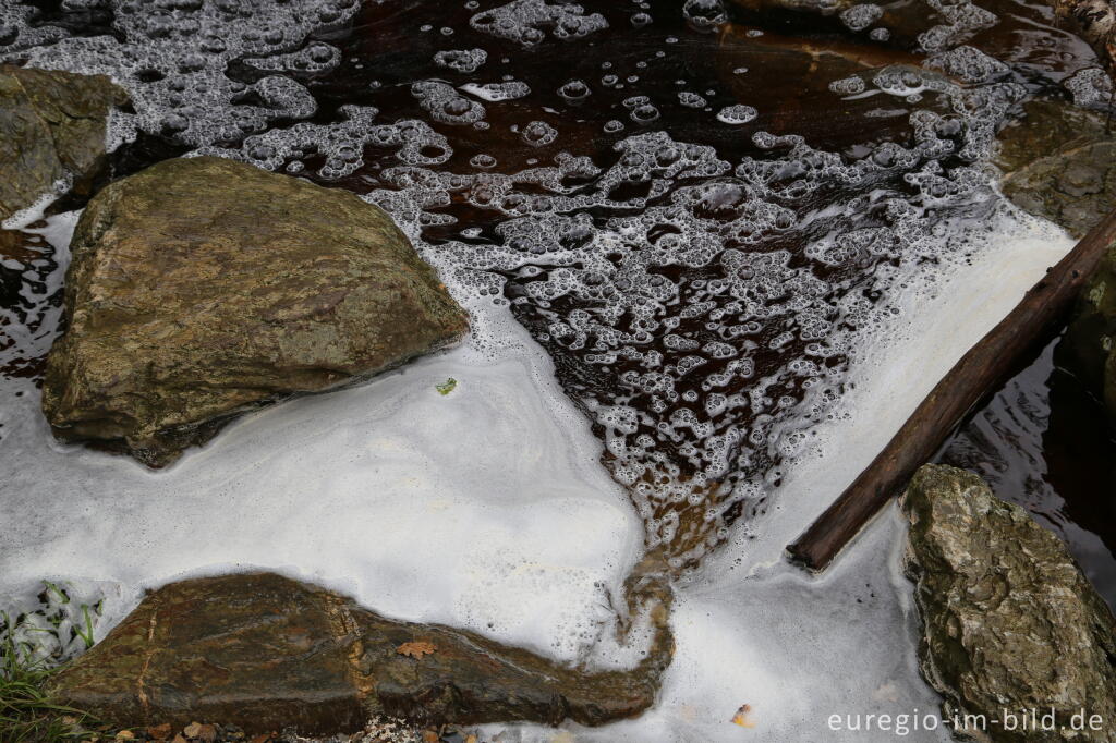 Detailansicht von Das Wasser des  Bayehon