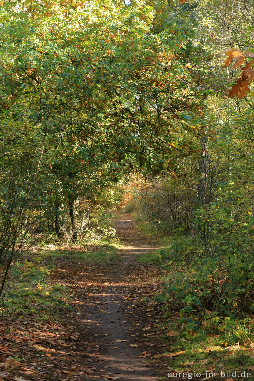 Detailansicht von De Ijzeren Man, Grenzpark Kempen-Broek