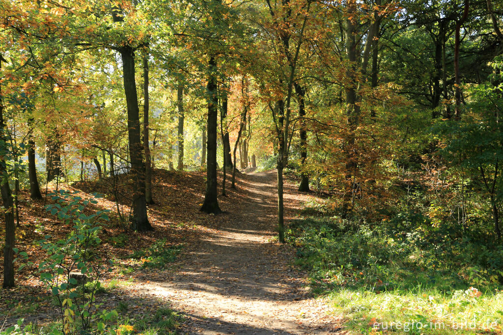 Detailansicht von De Ijzeren Man, Grenzpark Kempen-Broek