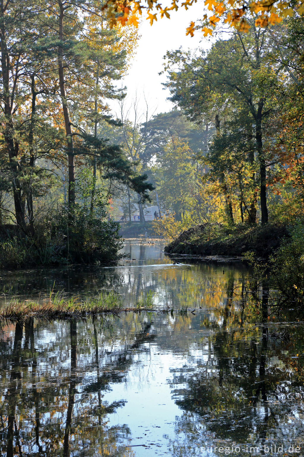 Detailansicht von De Ijzeren Man, Grenzpark Kempen-Broek