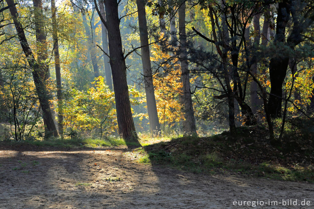 Detailansicht von De Ijzeren Man, Grenzpark Kempen-Broek