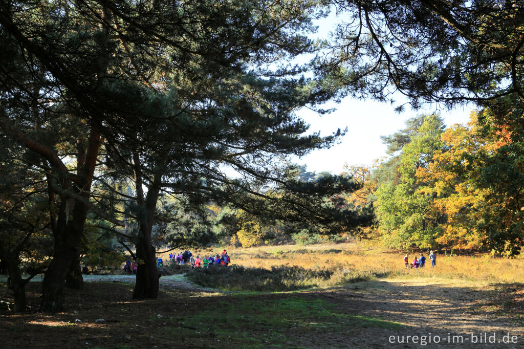 Detailansicht von De Ijzeren Man, Grenzpark Kempen-Broek