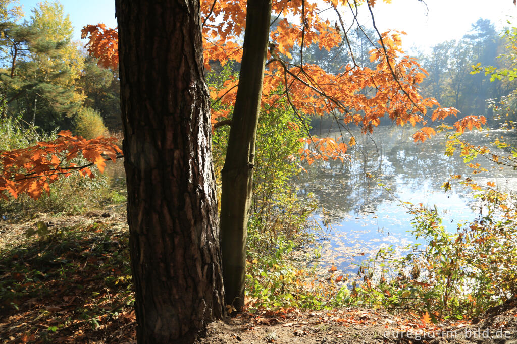 Detailansicht von De Ijzeren Man, Grenzpark Kempen-Broek