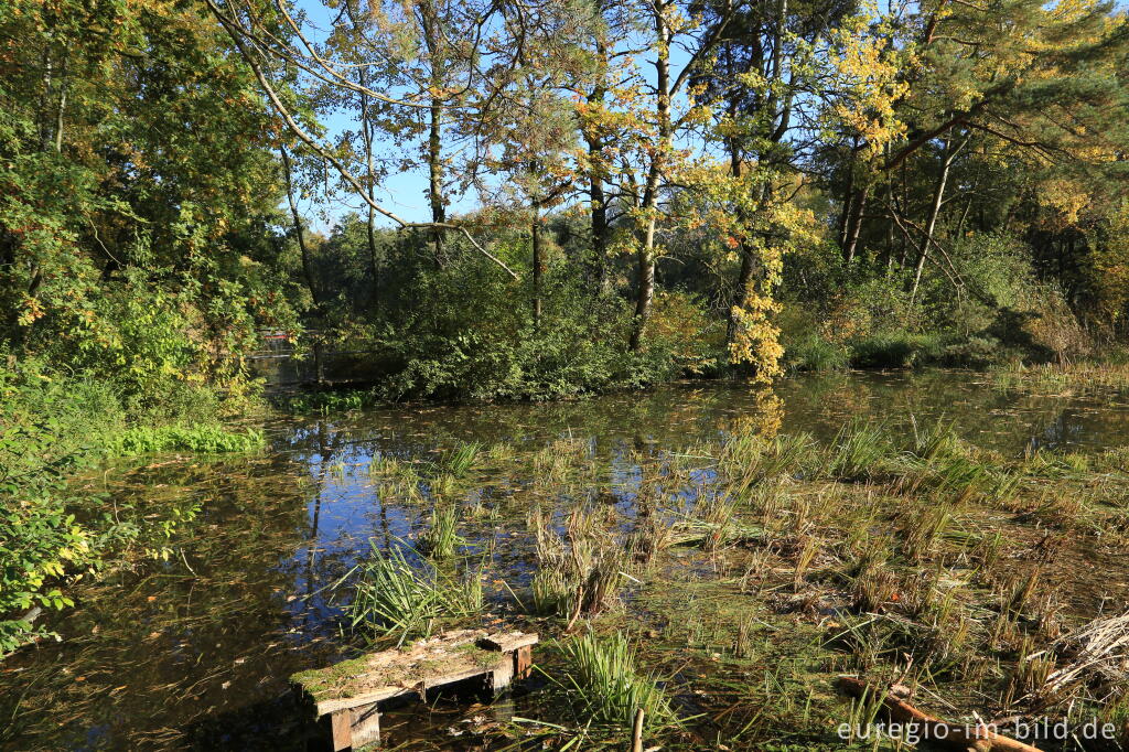 Detailansicht von De Ijzeren Man, Grenzpark Kempen-Broek