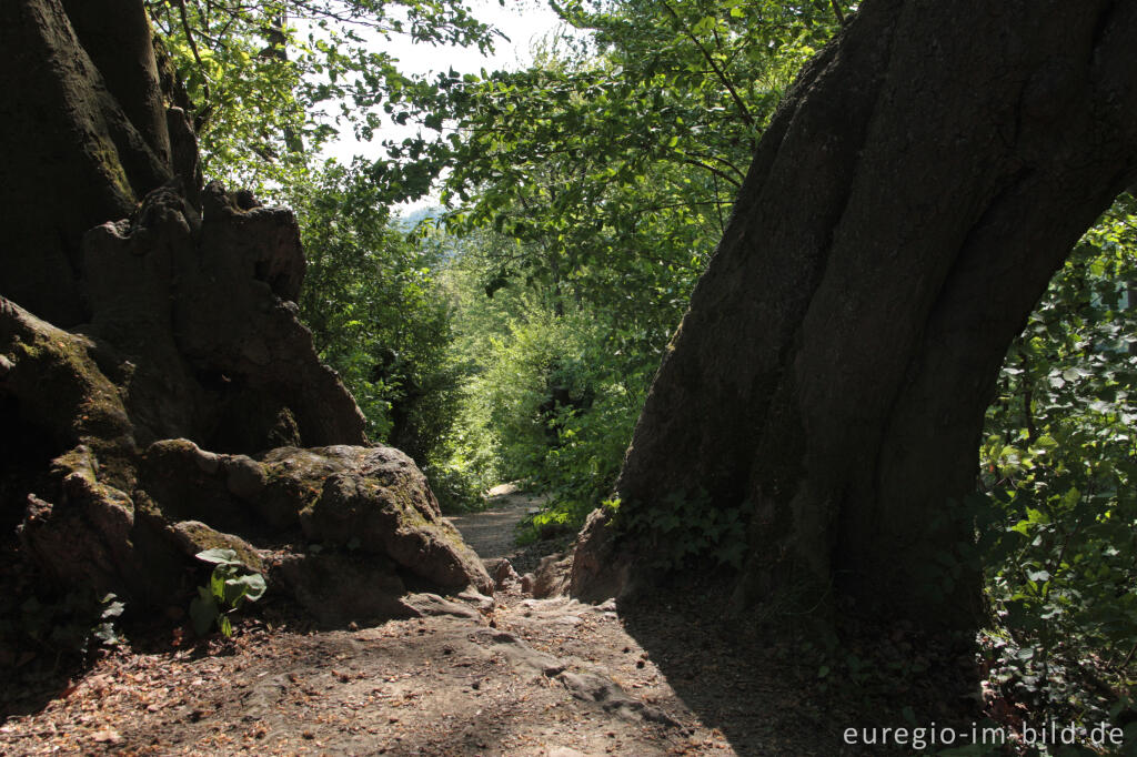 Detailansicht von Der "Alte Landgraben"