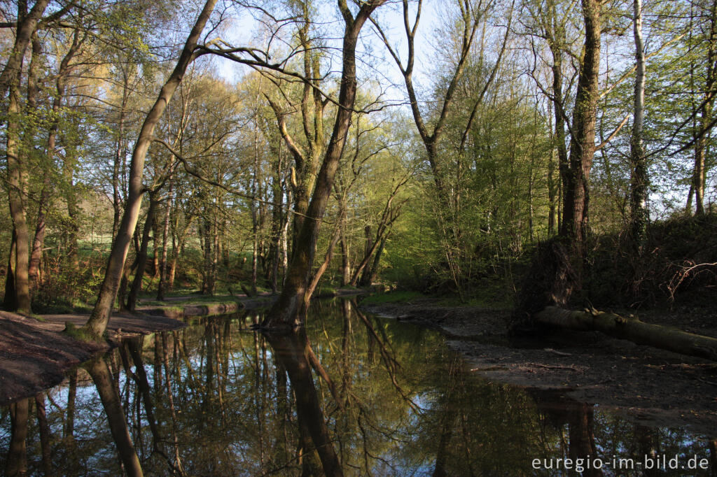 Detailansicht von Der Amstelbach beim Cranenweyer, Kerkrade, NL