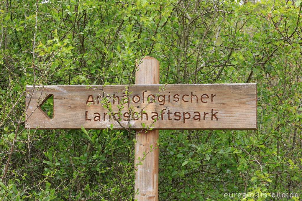 Detailansicht von Der Archäologische Landschaftspark von Nettersheim